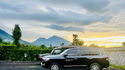 2 Days Rwanda Gorilla Trekking experience and Kigali Genocide Memorial Visit. - Image - 8545